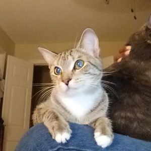 Meet your Posher, Kerrye